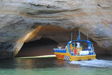 Dolphin watching and Benagil cave cruise in Albufeira
